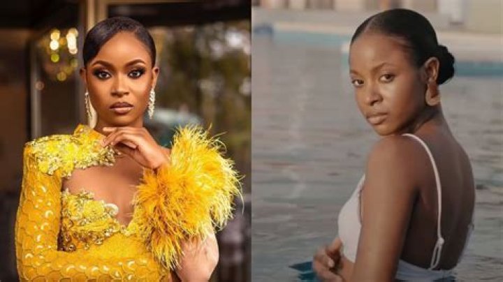 
BBNaija: Bella Bags Ambassadorial Deal With Popular Beauty Company 